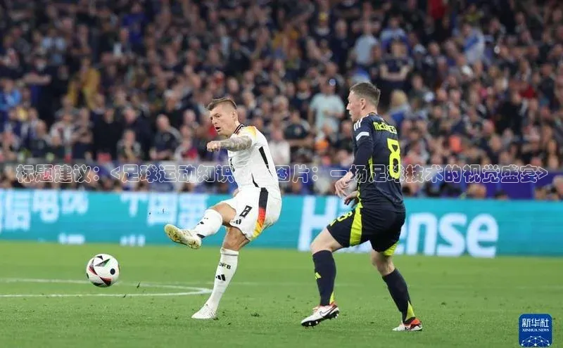 门徒注册猫眼标题建议：<足球运动知识动画图片：一场足球技术的视觉盛宴>