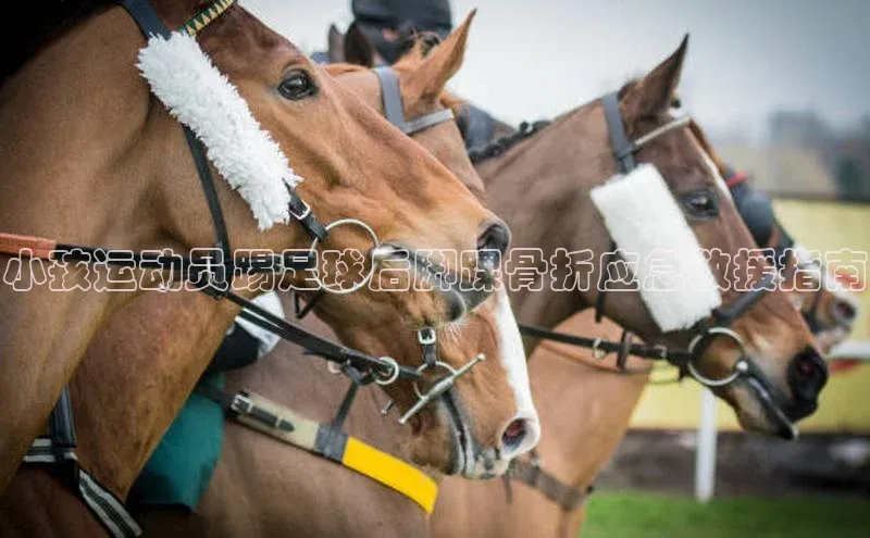 门徒平台注册登录天键股份小孩运动员踢足球后脚踝骨折应急救援指南