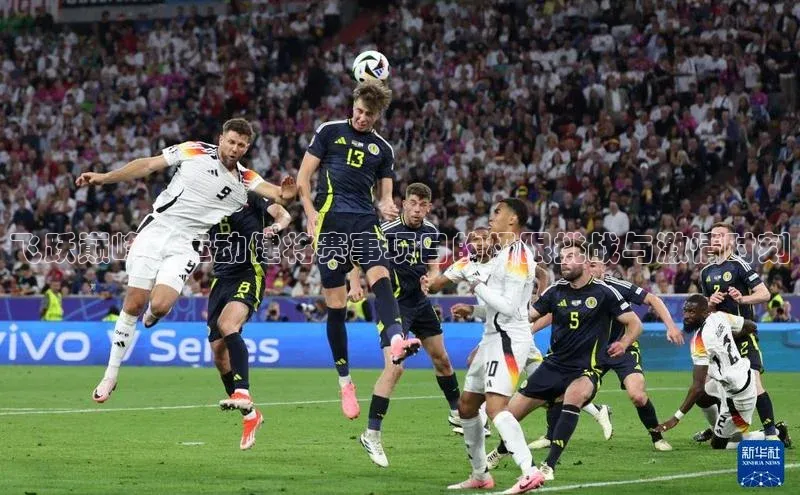 门徒平台登录入口官网注册百度手机输入法飞跃巅峰：运动健将赛事项目的极限挑战与激情时刻