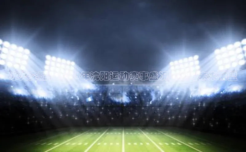 门徒娱乐元隆雅图冰火交融：2018年沈阳运动赛事盛况回顾与未来展望