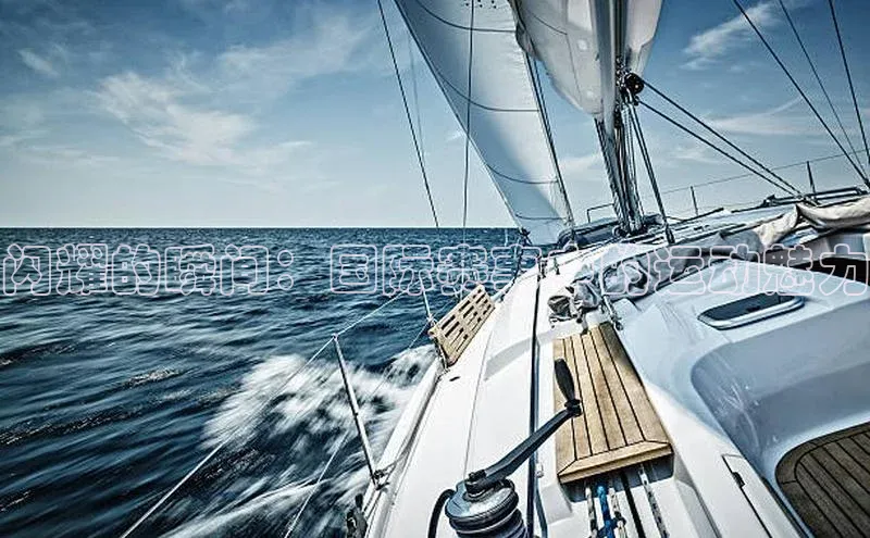 闪耀的瞬间：国际赛事中的运动魅力