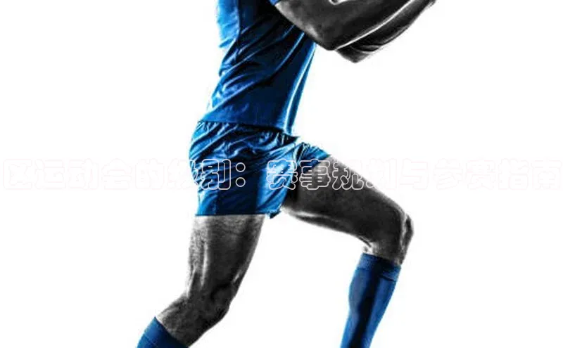 区运动会的级别：赛事规划与参赛指南