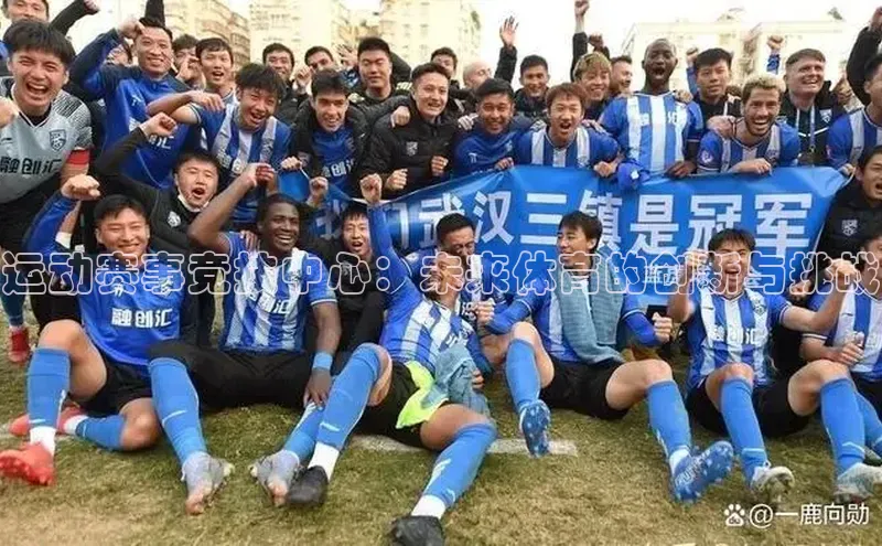 运动赛事竞技中心：未来体育的创新与挑战