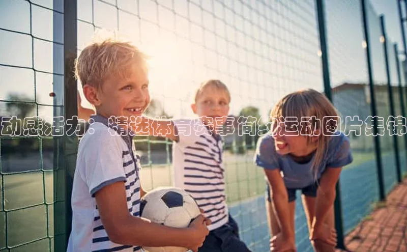 动感活力：精选体育赛事简约运动图片集锦