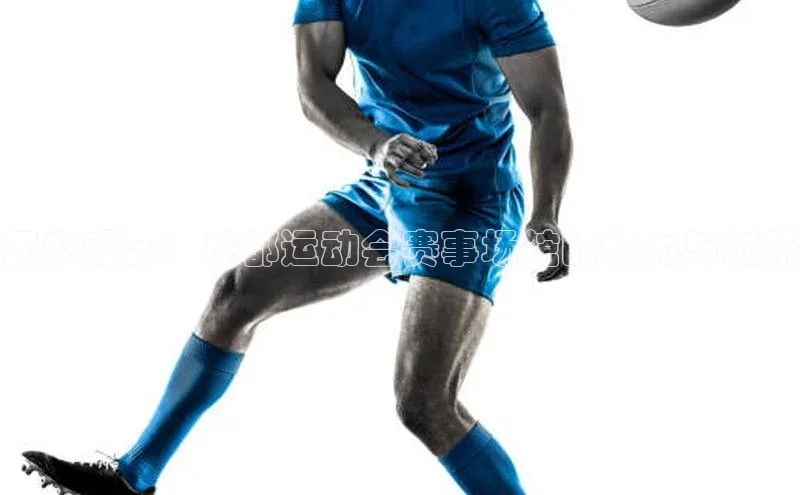 天府盛会：成都运动会赛事场馆的魅力与创新