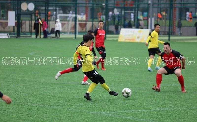 精彩纷呈的运动与体育赛事视频大全：你的激情世界