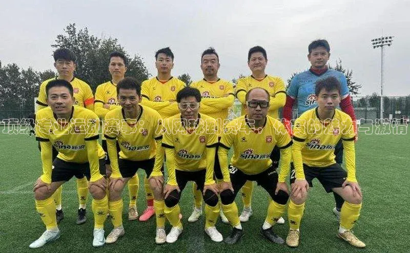 顶级专业运动赛事：从网球到赛车，体育的魅力与激情