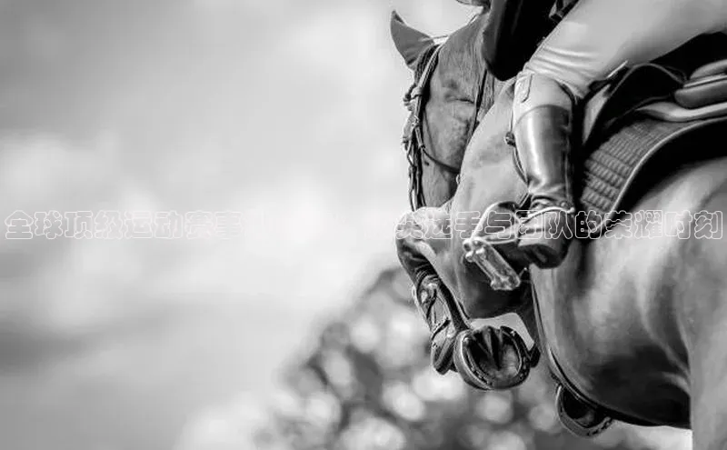 全球顶级运动赛事排行榜：顶尖选手与团队的荣耀时刻