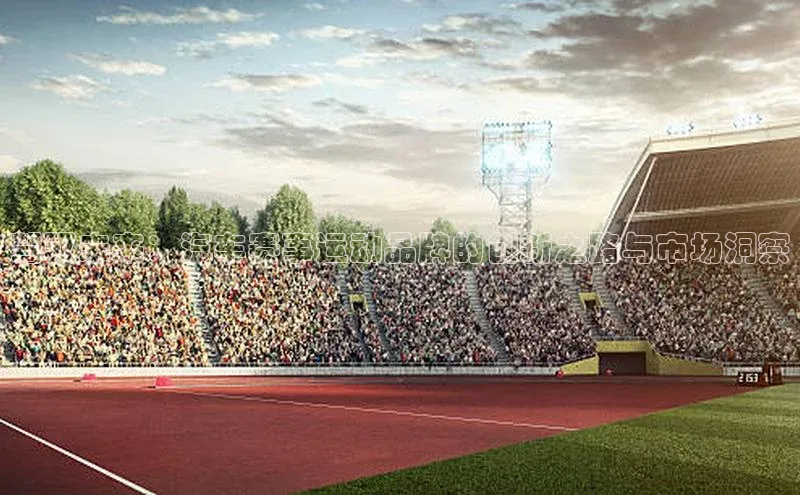 驾驭未来：汽车赛事运动品牌的创新之路与市场洞察