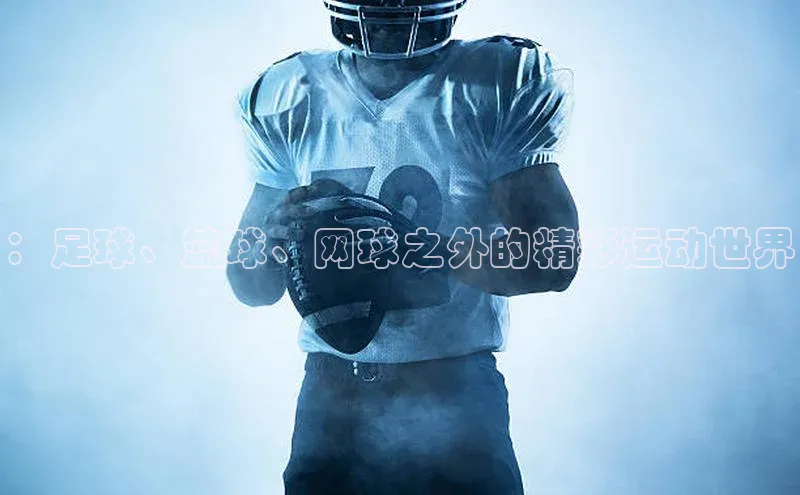 ：足球、篮球、网球之外的精彩运动世界