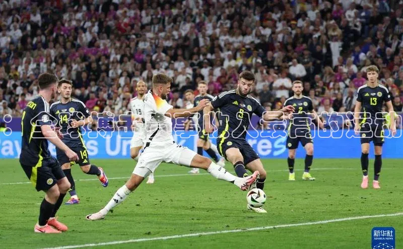 ：全球搏击赛事收入最高的运动