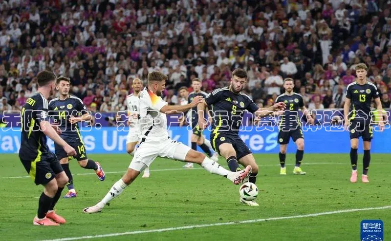 无限可能：亲子户外运动赛事体验分享