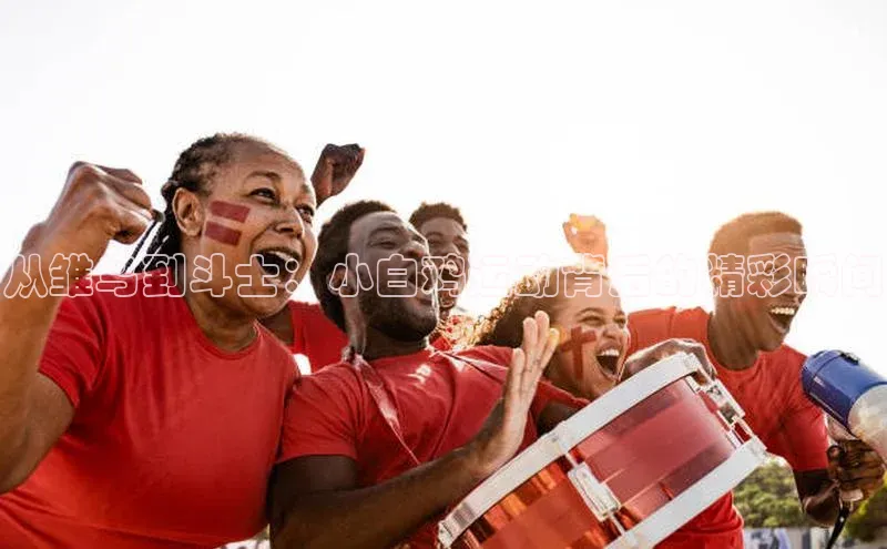 从雏鸟到斗士：小白鸡运动背后的精彩瞬间